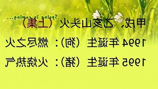 1994年 甲戌